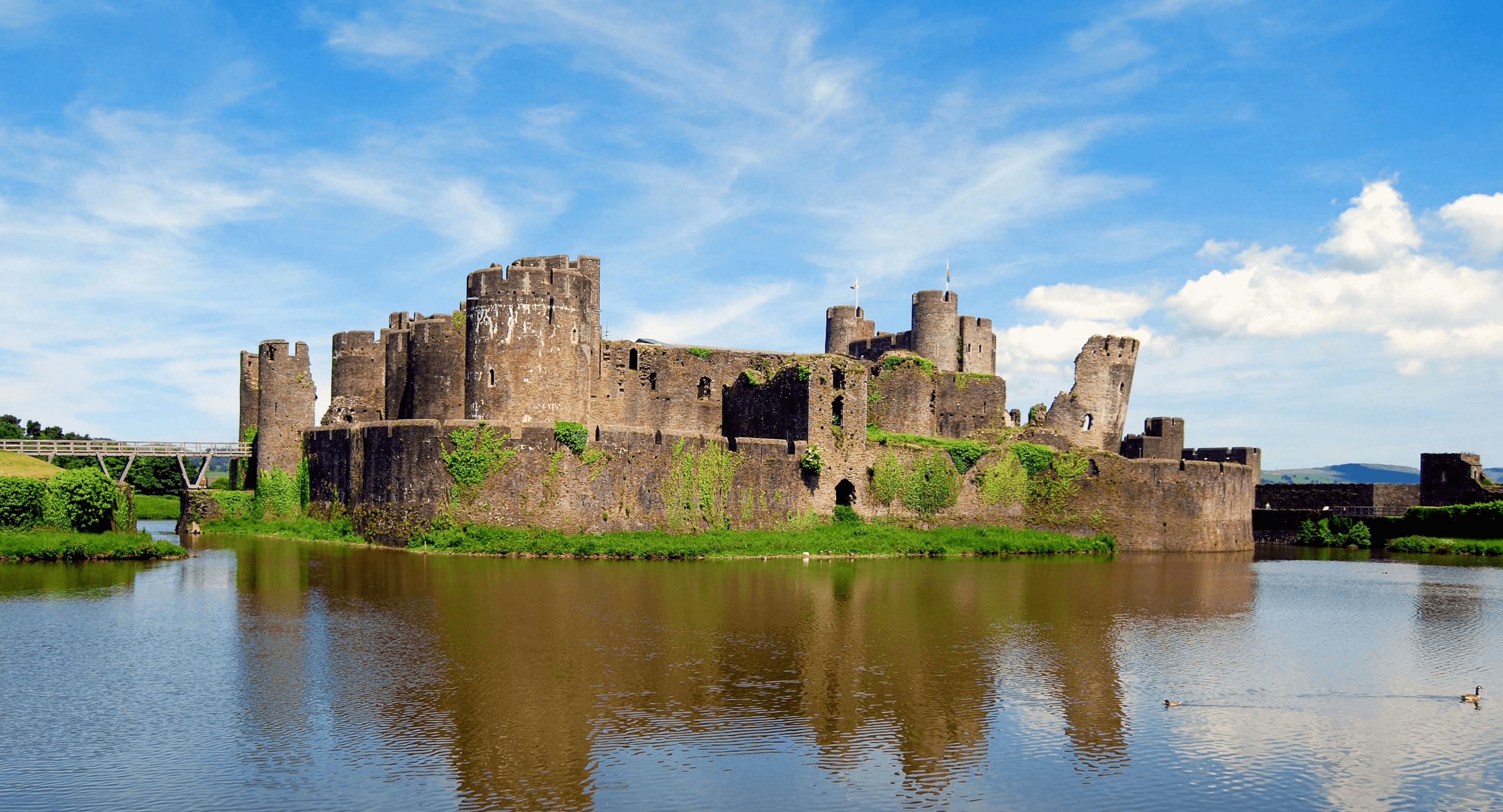 Does Your Caerphilly Business Actually Need a Website?